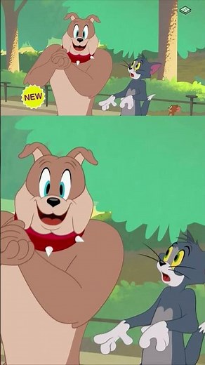 Boomerang UK HD Looney Tunes And Tom & Jerry Month February 2026 Promo #animation