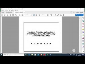 Test de Cleaver parte 2