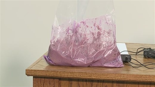 New drug task force announced in Davidson County; pounds of narcotics seized in multi-agency bust