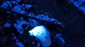 Im Hunting Uranium Glass in a creek. Wait til the end for the Uranium Glass Doorknob and more. Only 30 minutes hunt time. #Ohio #education #uraniumglass #parmaohio #relichunting #history | Ohio History Hunter