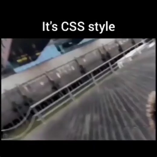 Nova Site on Instagram: "#codinglife #developers #programmer #programmers #fyp"