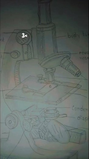 How to Draw a Compound Microscope | Step-by-Step Science Diagram