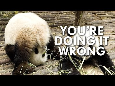 Pandas Are Worse at Sex Than You