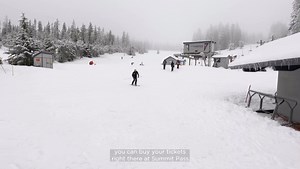 2.1K views · 98 reactions | Palmer Cat Skiing is open today! Enjoy the largest vertical in the US with 4540’ from the top of Palmer to Summit Pass. Cat rides included with your season pass or lift ticket. Catch the cat at the top of the Magic Mile. Cat skiing will operate as long as visibility allows. Our resort shuttle runs from Summit Pass to Timberline 8:00am - with the last pickup at Summit Pass 4:00pm. #timberlinelodge #timberline | Timberline Lodge | Facebook