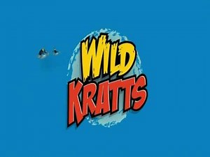 WOSU-TV PBS Kids Channel Program Break (2017)