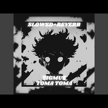 Toma Toma (Brazilian Phonk) (Slowed + Reverb)