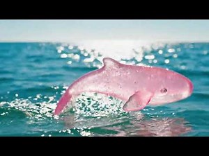 ASMR｜The sound of squeezing toothpaste#ASMR#ai #aiart #asmr #glasscutting#satisfying#asmrsounds#veo3