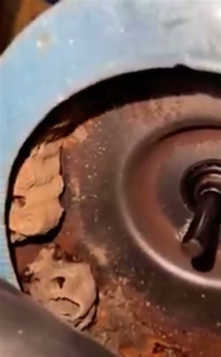 Bug Nest Found in RV Furnace | Consumer’s Experience