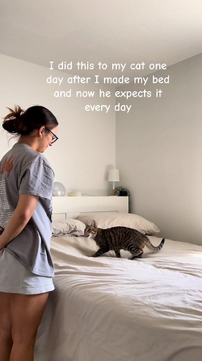 Adorable Cat Reactions to Surprising Daily Rituals