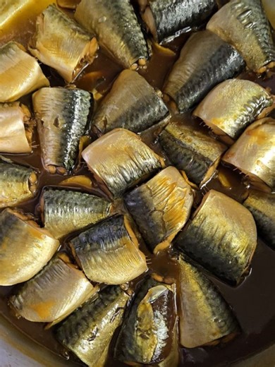 さかな料理 礁 on Reels