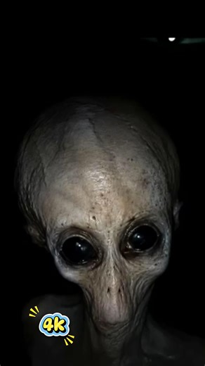Aliens: 144p vs 4K Quality Comparison 👽