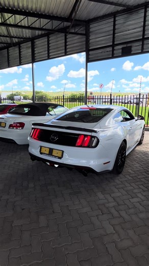 2017 Ford Mustang 5.0 GT for Sale - Powerful Performance