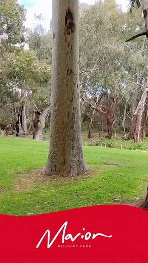 86 reactions · 7 comments | Our spacious, 2 bedroom Bungalows are set...