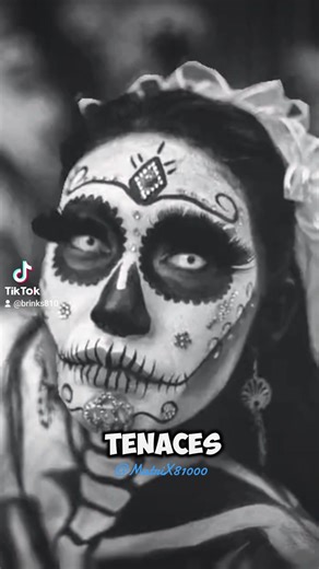TruthSeeker sur TikTok