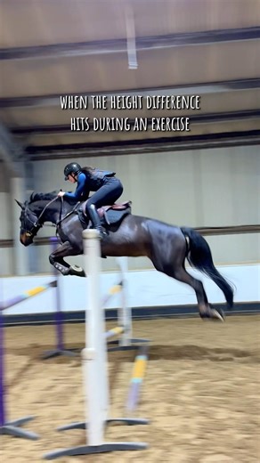 old but gold 😂 #equestrian #showjumping #springreiten #horse #riding