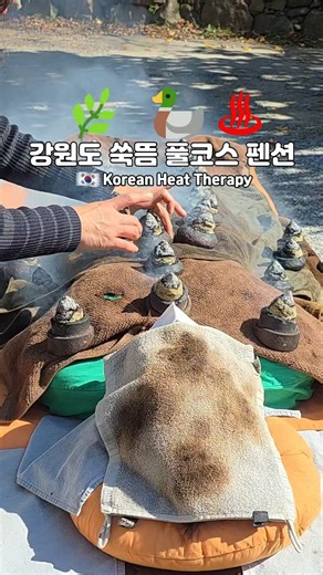 🌿 🦆♨️강원도 쑥뜸 풀코스 펜션