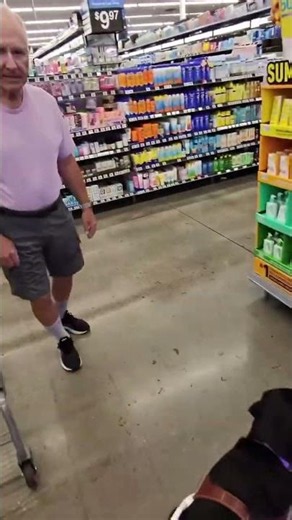 This Is Why Guide Dogs Are So Important