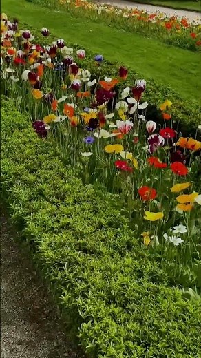 PRINTEMPS AU JARDIN DES PLANTES PARIS🇫🇷FRANCE #terracegardenindia #flowers#nature #flower