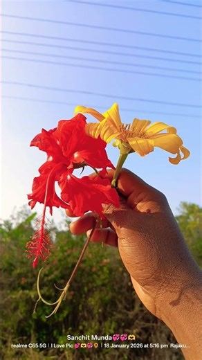 Nice Beautiful Scene Short Video #trending #youtubeshorts #jesus #jesuscristo