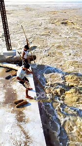 169K views · 1.6K reactions | Por Que Esses Caras Estão Pescando Madeira Com Lanças? | Zoom Selvagem | Facebook