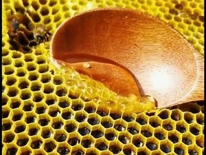 Honeycomb Cutting and Honey Flowing - ULTRA SATISFYING!