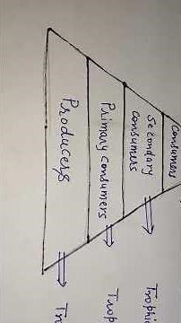Trophic Level (पोषण स्तर)