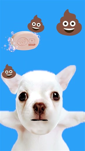 #р_е_к_о_м_и_н_д_а_ц_и_и