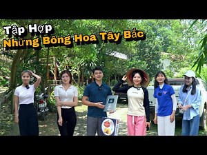 Tập Hợp Những Bông Hoa Núi Rừng Tây Bắc Trên Kênh Nùng Vlog, Ăn Mừng Nút Bạc Nùng Vlog...!