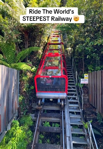 Experience the World's Steepest Railway at Scenic World in the Blue Mountains