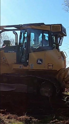DOZING BRUSH For Property Line Fence. #brush clearing # Bulldozer #shorts
