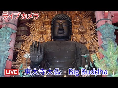 【東大寺大仏】日本一周🇯🇵camera Todaiji Big Buddha Japan