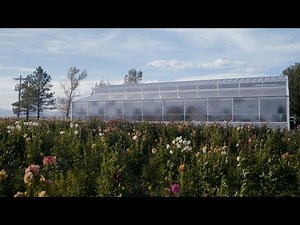 Introducing The Ceres Barn Kit: Combining Year-Round Growing with Flexible Work Space