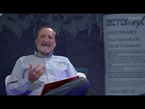 Dectomax - Benefícios da vermifugação de vacas para a produção