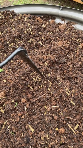 This composting method is super simple and takes out all the guesswork and hard work😂 #compost #composting #compostingforbeginners #organicgardening #permaculture