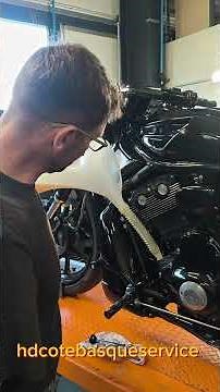 Checking the oil level on a VROD #harleydavidson #motorcycle #reels #fyp #motorcycle