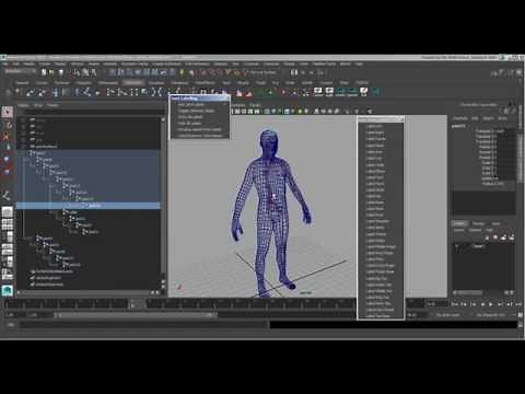 Labeling and Mirroring Joints for Rig Building in Maya