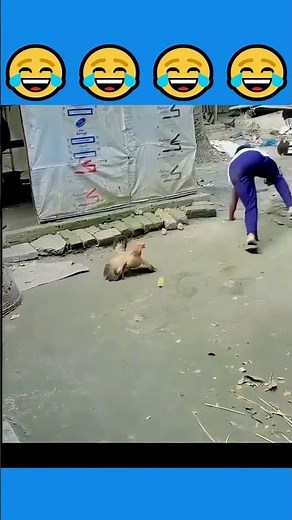 #funnyshorts