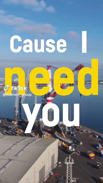 Crane Lifts Heavy Loads Like No Other