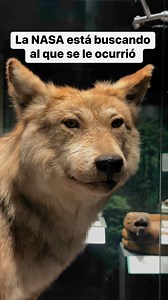 31K views · 130 reactions | Sin duda, este es el mejor #museo de #CDMX  | 푯풆풂풓풕 | Facebook