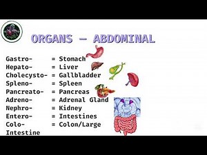 Medical Terminology - The Basics - Lesson 1 2026🔥💯