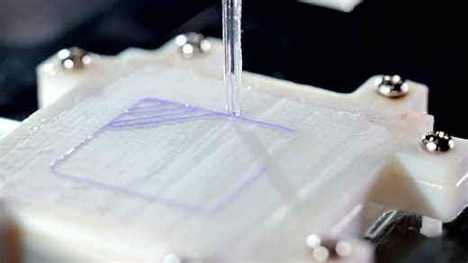 3D Bioprinting