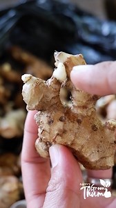 627K views · 7.4K reactions | sprouting update  | Raffy's Green Thumb | Facebook