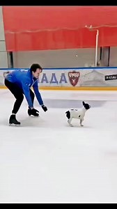 6.4K views · 116 reactions | Maxim with a cute dog  #maximnekrovas | Rose Winter | Facebook