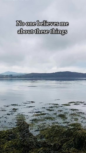 Discovering Selkies: The Magic of Scottish Folklore
