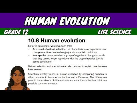 Human Evolution | Grade 12 Life Science