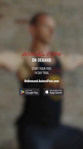 Follow along with Master Instructor Gee in this Flow from the Animal Flow On Demand channel! You can access the full Flow and breakdowns for all of these movements in the AF Flows and Tutorials categories in the app. Go to OnDemand.AnimalFlow.com for a free 14 day trial of the app! #AnimalFlow #QuadrupedalMovementTraining #WeInviteYouToMove | Animal Flow