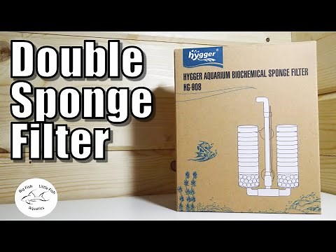 Hygger Double Sponge Filter | Review & Setup