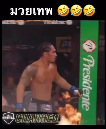 Mixed Martial Arts Highlights: Intense Fighter Showdowns