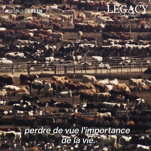 "Plus de 100 milliards d’animaux sont abattus tous les ans" Yann Arthus-Bertrand dénonce l’élevage intensif et la surconsommation de viande. “LEGACY, notre héritage” mardi à 21.05 #SemaineGreen | M6