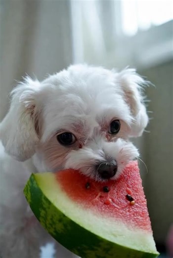 Cartoon magic (@cartoonmagic25)’s videos with original sound - Cartoon magic